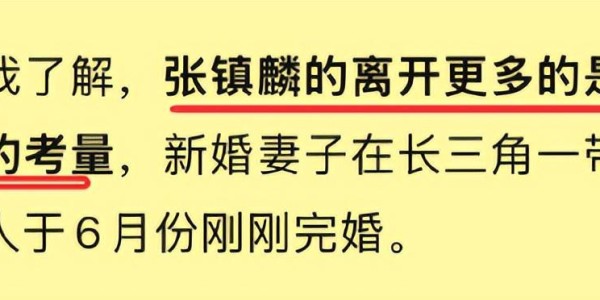 333体育|电竞-官方网站-真相大白！张镇麟加盟上海队和杨鸣毫无关系，而是从家庭角度考虑
